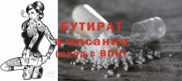 индика Абаза