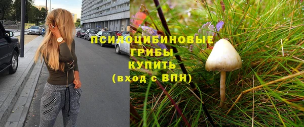 PSILOCYBIN Абинск