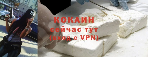 индика Абаза