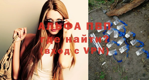 индика Абаза