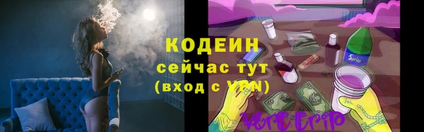 индика Абаза