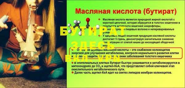 индика Абаза