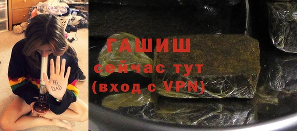 индика Абаза