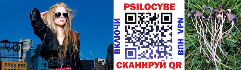 Галлюциногенные грибы мицелий  Цоци-Юрт 